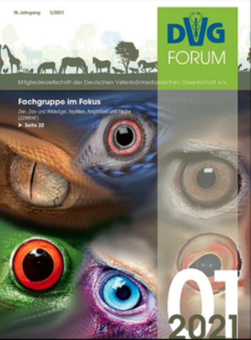 Bildschirmfoto 2021 07 16 um 11 27 46