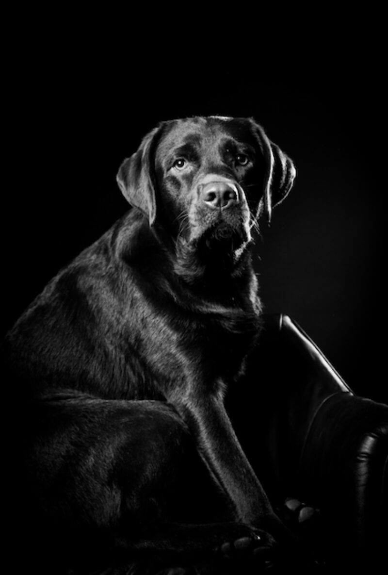 Bildschirmfoto 2021 07 22 um 09 47 41