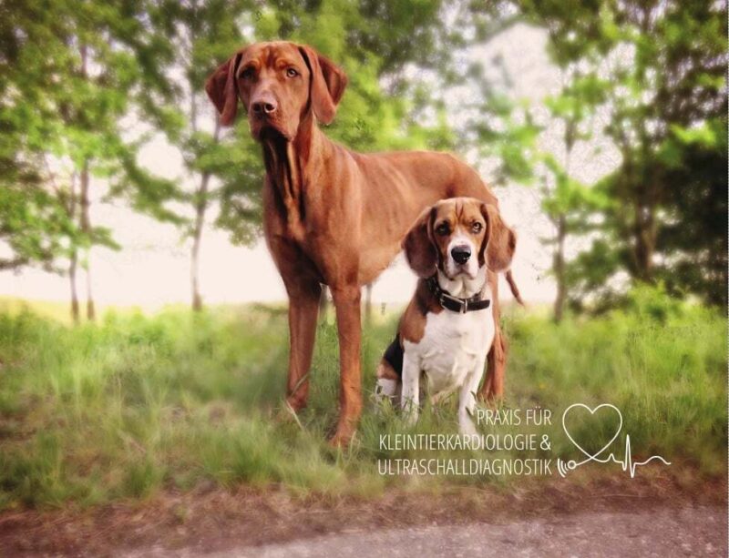 188947473 312365480510566 3795422087124703842 n