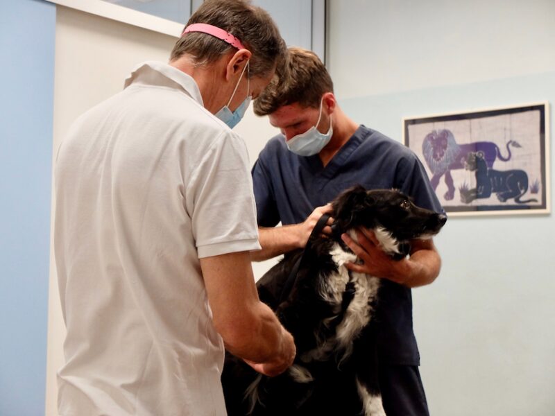 Bildschirmfoto 2021 07 27 um 20 57 37