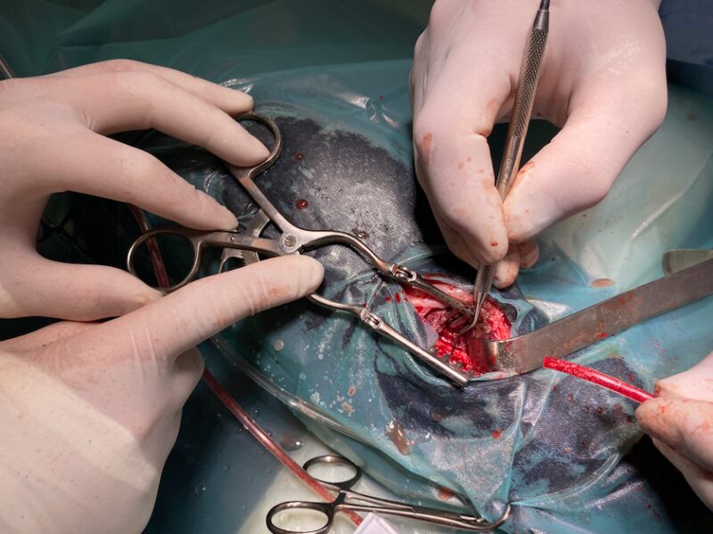 Bildschirmfoto 2021 07 27 um 20 56 11