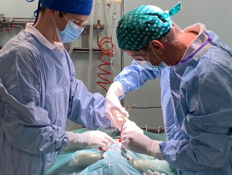 Bildschirmfoto 2021 07 27 um 20 55 53