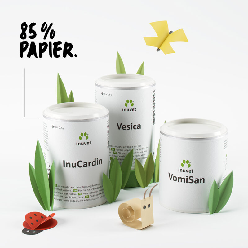 2021 01 28 Mission Gruene Praxis Posts DE3