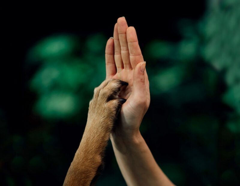 Bildschirmfoto 2021 08 15 um 16 19 04