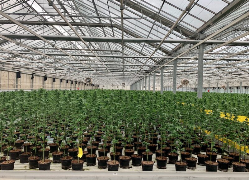 Bildschirmfoto 2021 08 15 um 16 23 15