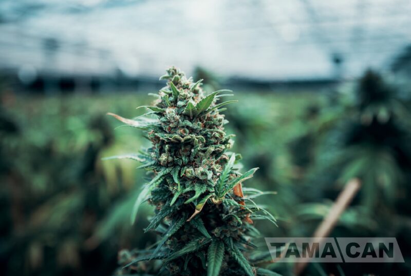 Bildschirmfoto 2021 08 15 um 16 22 56