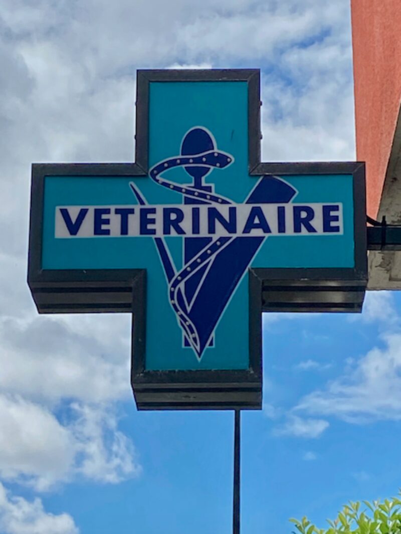 Bildschirmfoto 2021 08 15 um 20 31 41