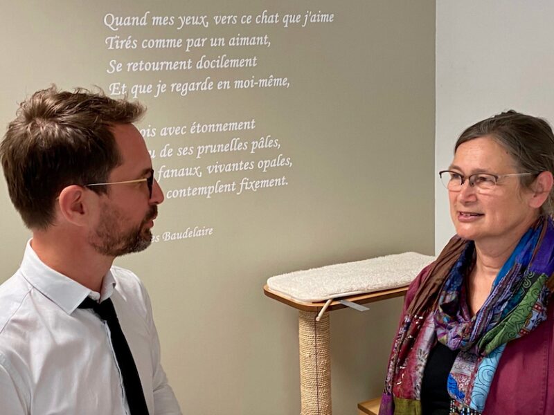 Bildschirmfoto 2021 08 15 um 20 31 09