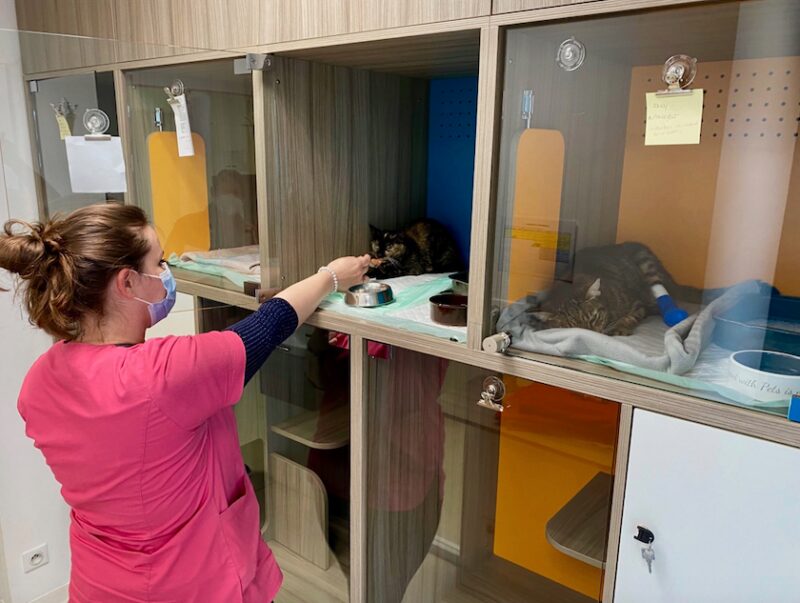 Bildschirmfoto 2021 08 15 um 20 30 43