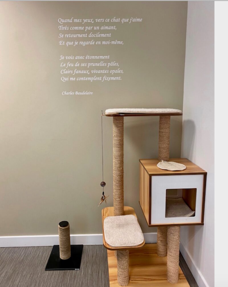 Bildschirmfoto 2021 08 15 um 20 30 11