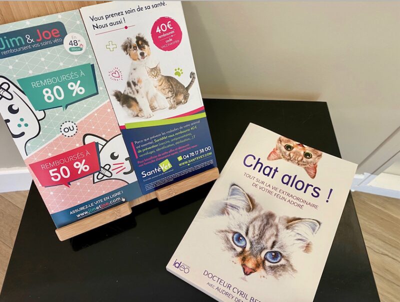 Bildschirmfoto 2021 08 15 um 20 29 58