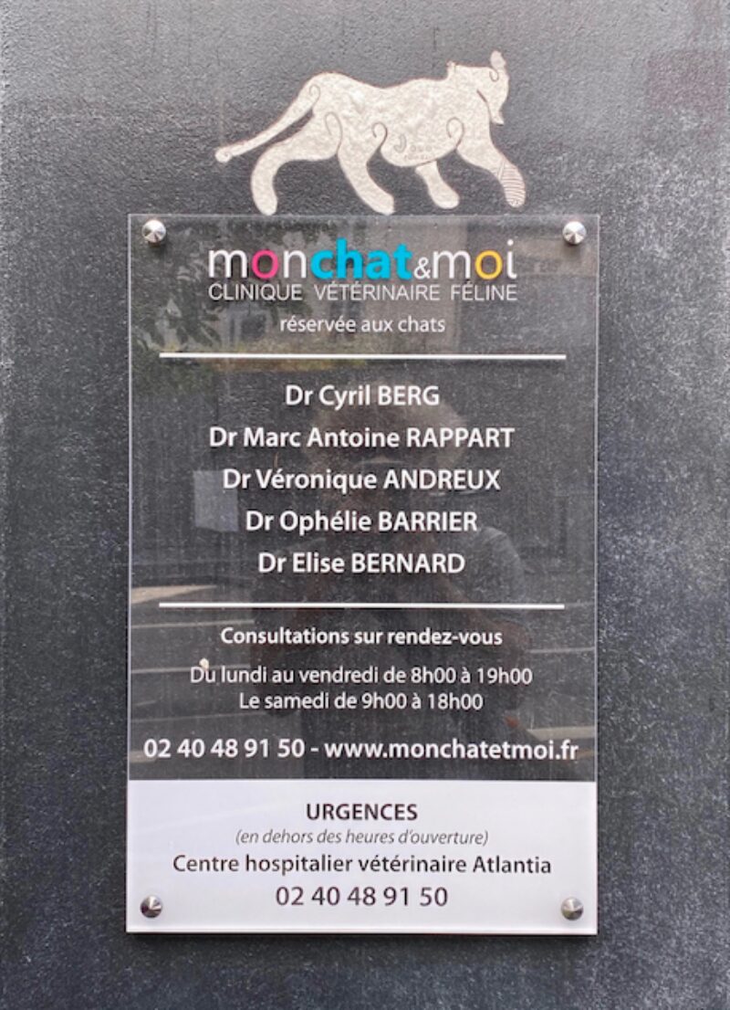 Bildschirmfoto 2021 08 15 um 20 29 46