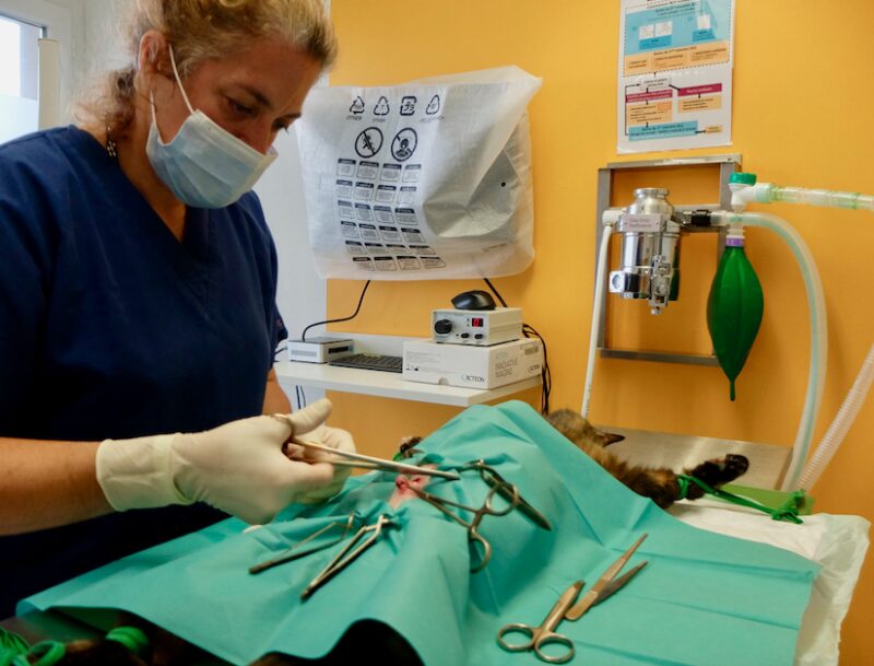 Bildschirmfoto 2021 08 15 um 20 29 18