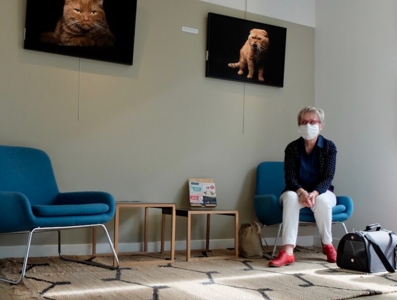 Bildschirmfoto 2021 08 15 um 20 29 07