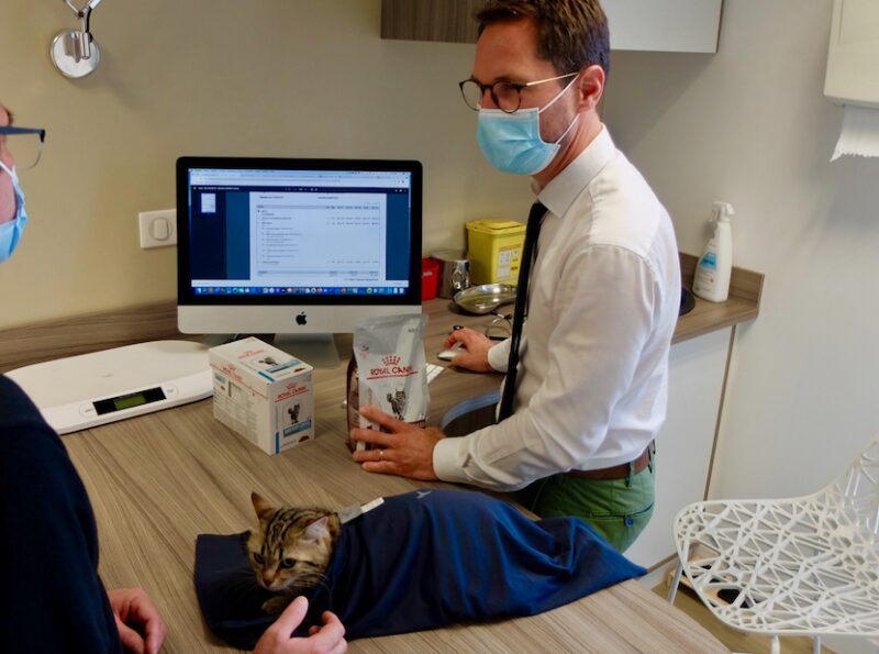 Bildschirmfoto 2021 08 15 um 20 27 48