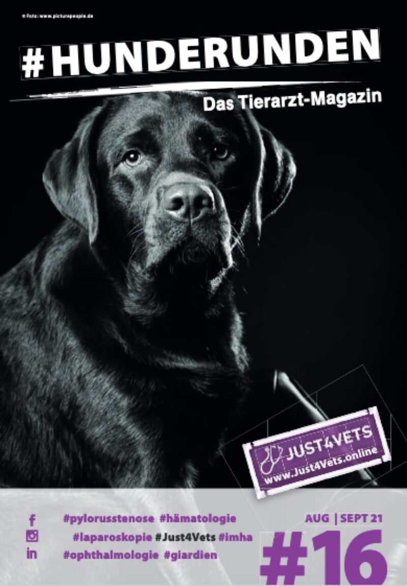 Bildschirmfoto 2021 08 31 um 09 20 55