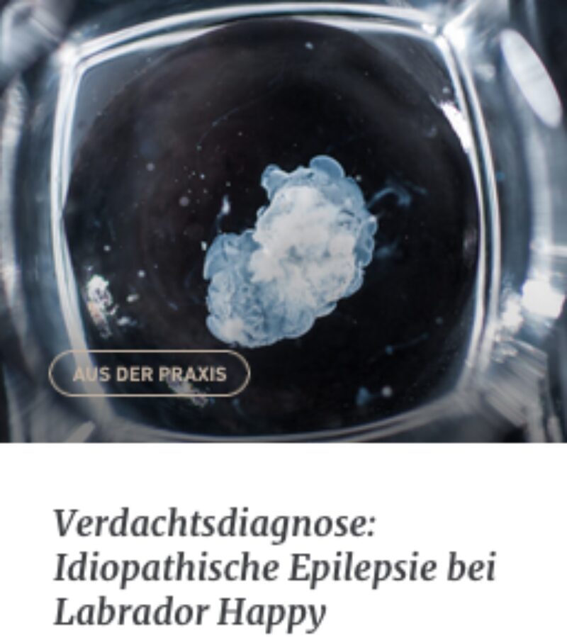 Bildschirmfoto 2021 08 31 um 10 05 38