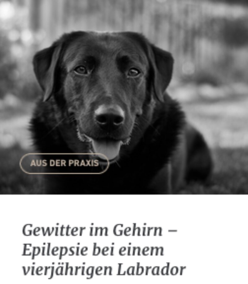 Bildschirmfoto 2021 08 31 um 10 05 25