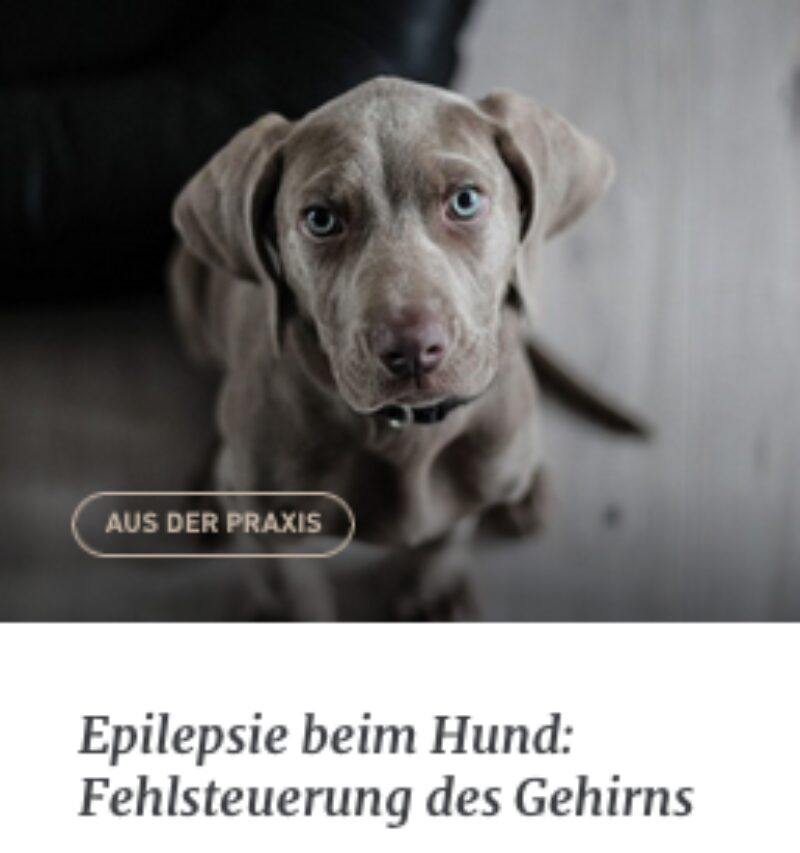 Bildschirmfoto 2021 08 31 um 10 05 15