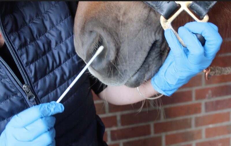 Bildschirmfoto 2021 09 12 um 14 57 18