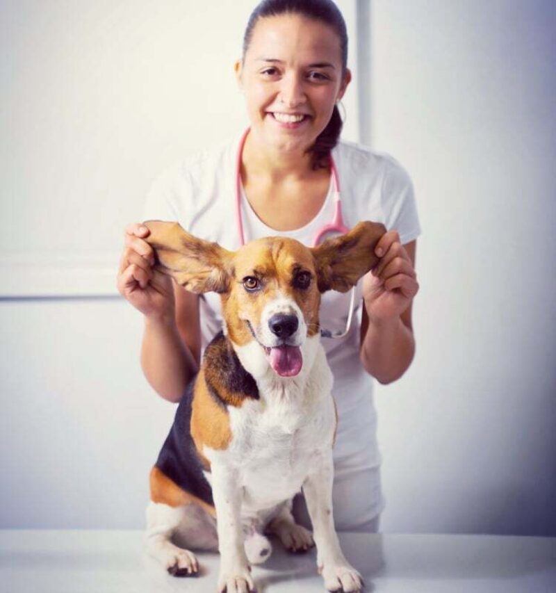 228449828 357315642682216 4412253834244777076 n