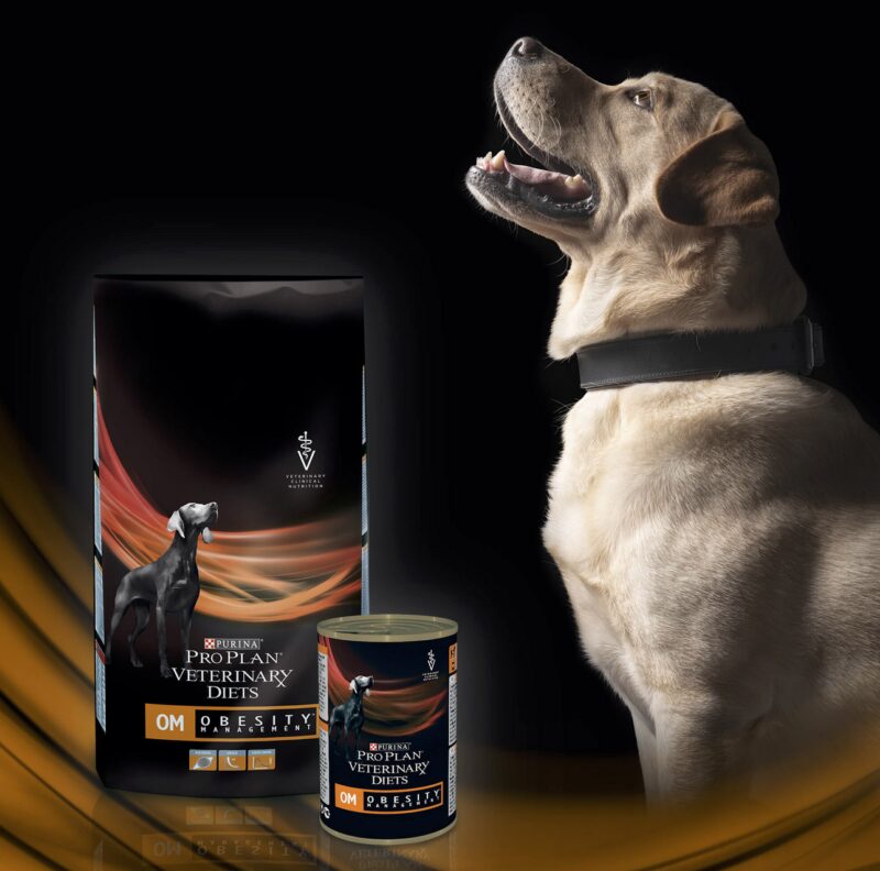 Bildschirmfoto 2021 10 01 um 09 55 38