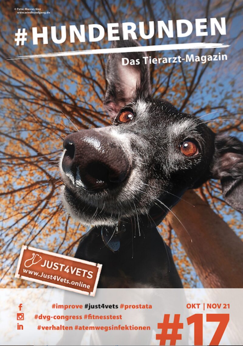 Bildschirmfoto 2021 10 15 um 15 06 52