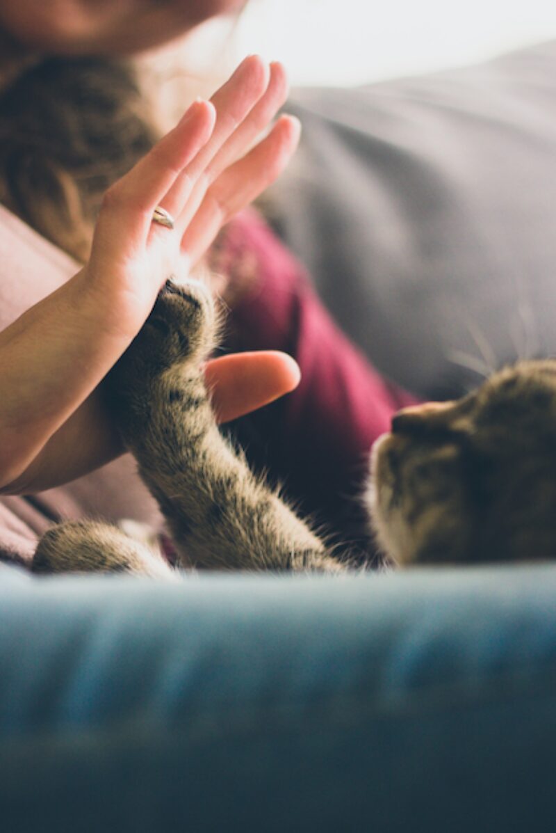 Bildschirmfoto 2021 10 19 um 09 09 15