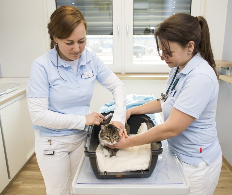 Bildschirmfoto 2021 10 27 um 16 20 54