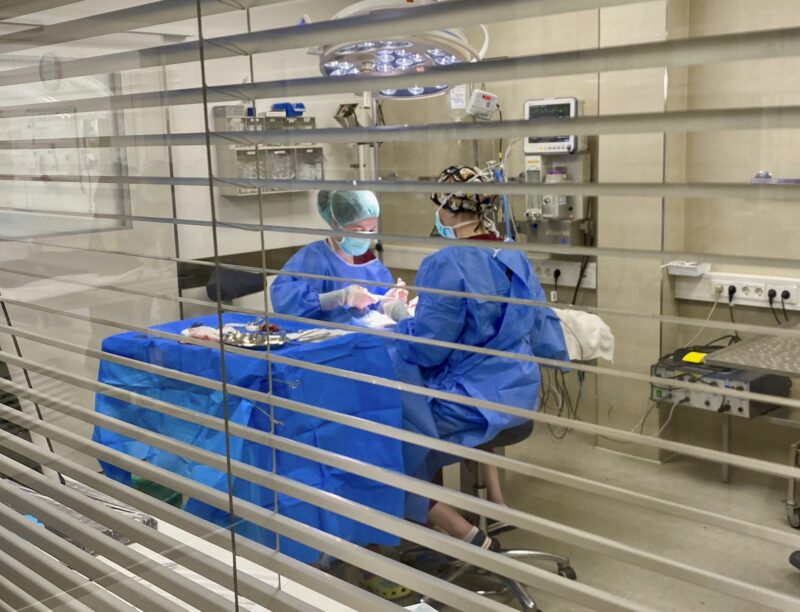 Bildschirmfoto 2021 10 27 um 16 19 33