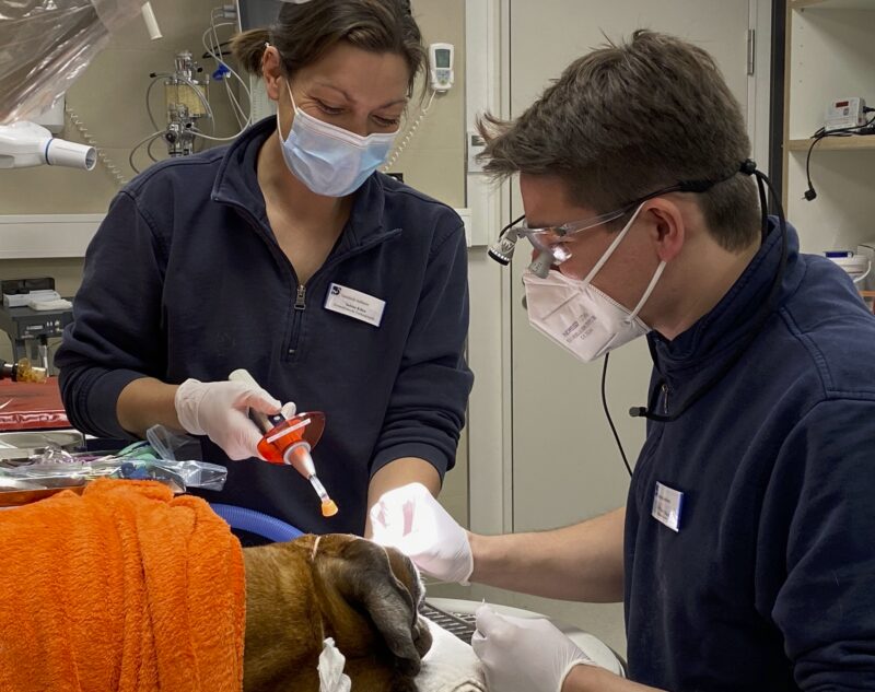 Bildschirmfoto 2021 10 27 um 16 19 02