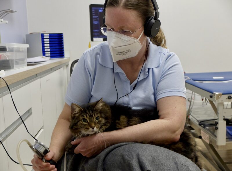 Bildschirmfoto 2021 10 27 um 16 18 21