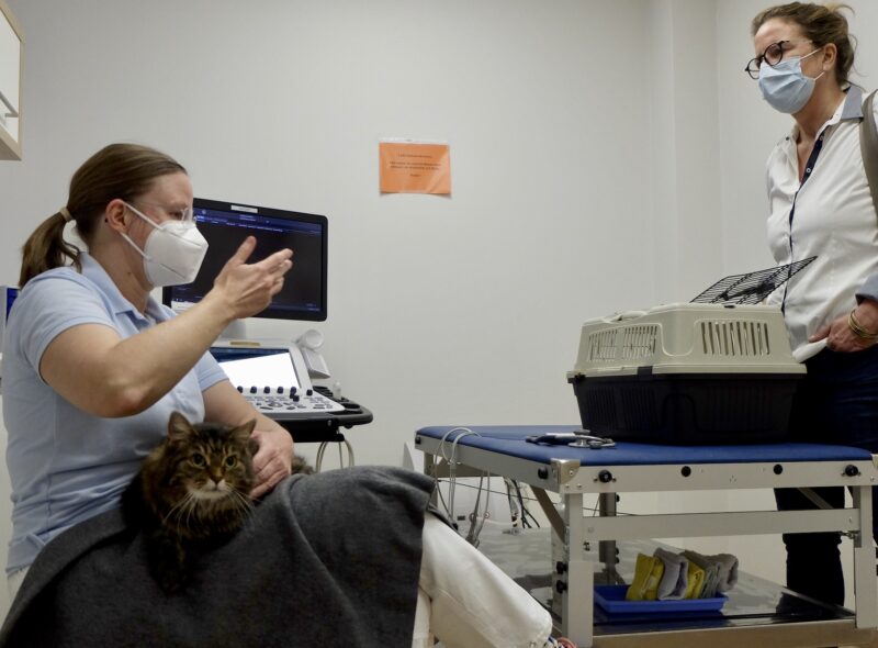 Bildschirmfoto 2021 10 27 um 16 18 00