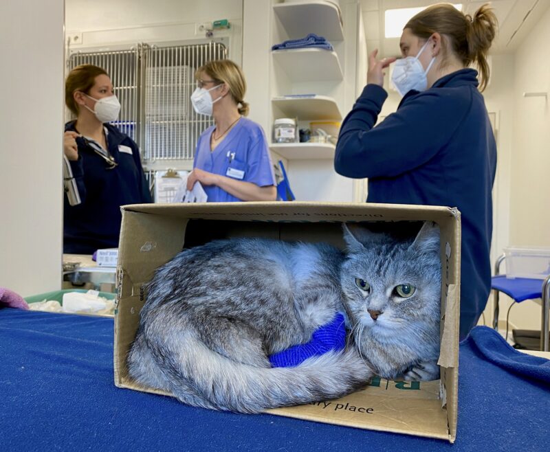 Bildschirmfoto 2021 10 27 um 16 17 24