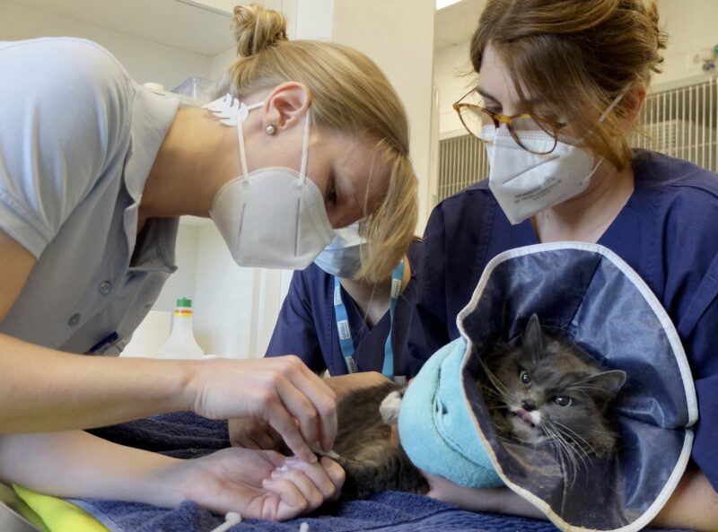 Bildschirmfoto 2021 10 27 um 16 17 05