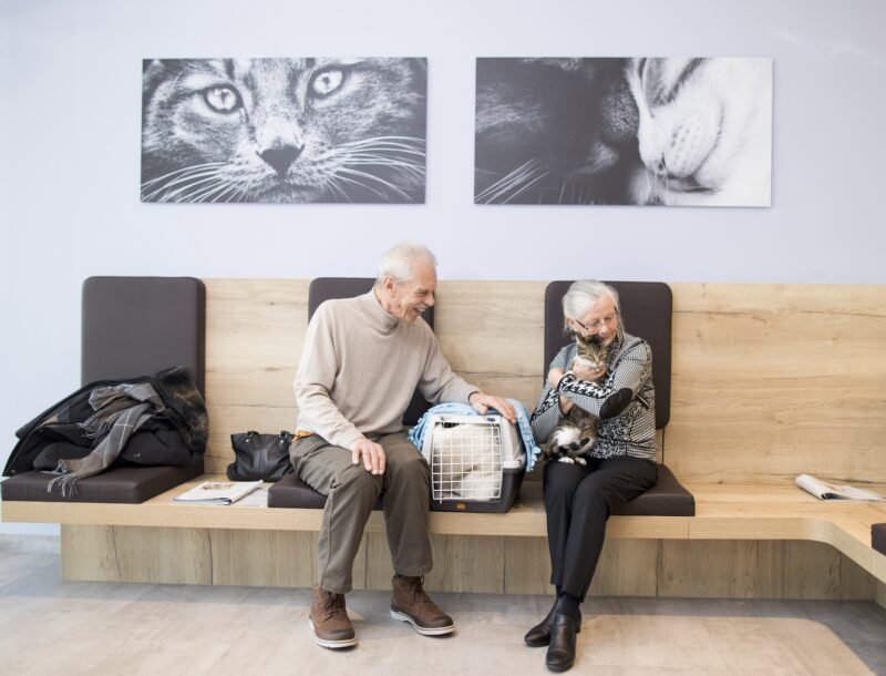 Bildschirmfoto 2021 10 27 um 16 16 04