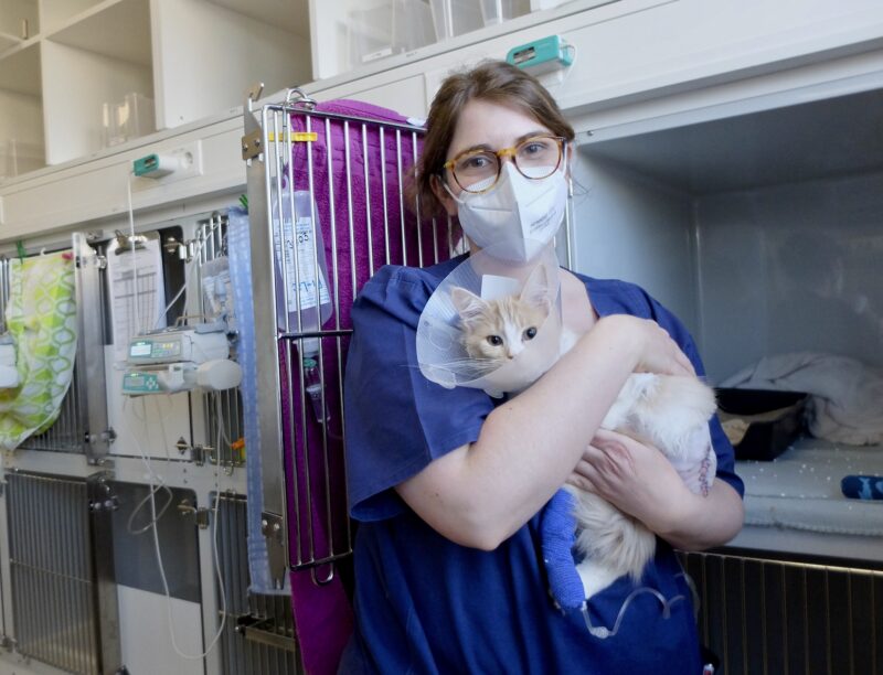 Bildschirmfoto 2021 10 27 um 16 28 06