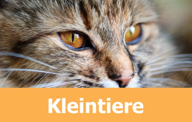 Bildschirmfoto 2021 11 07 um 15 09 58