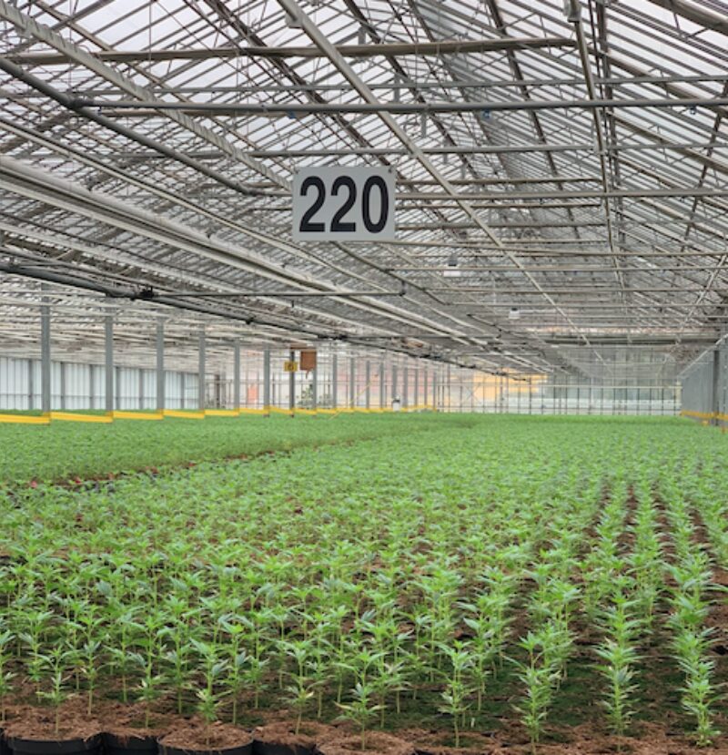 Bildschirmfoto 2021 11 24 um 11 48 31