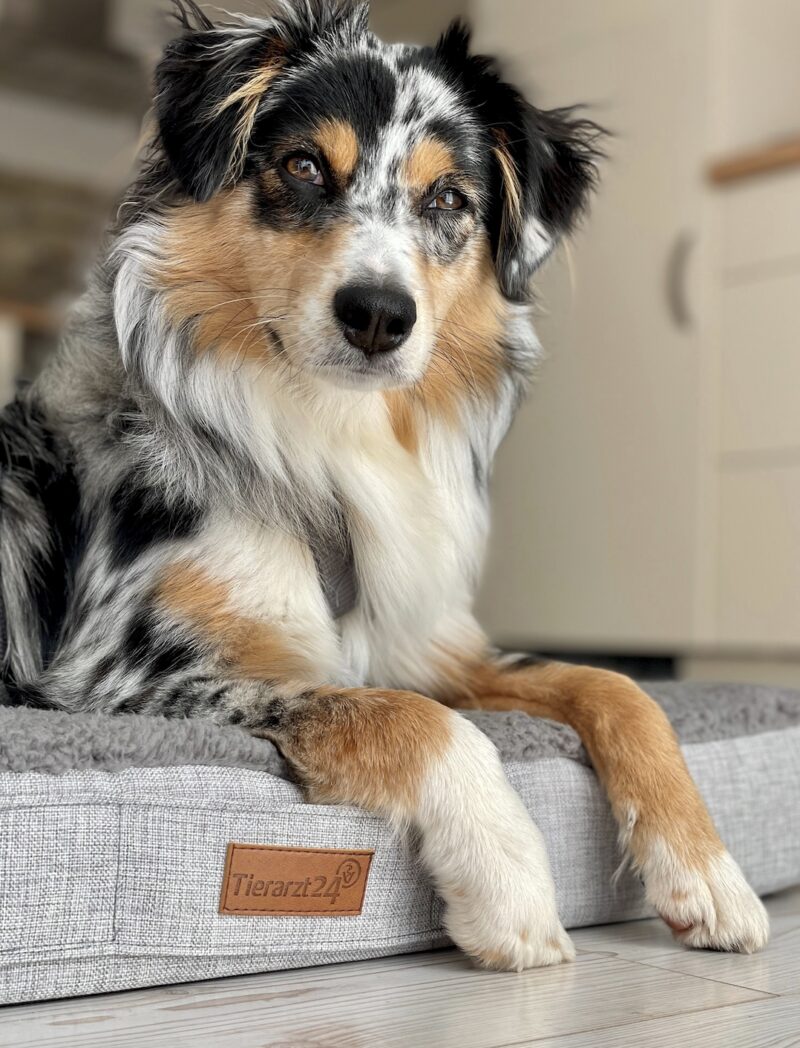 Bildschirmfoto 2021 12 23 um 08 53 50