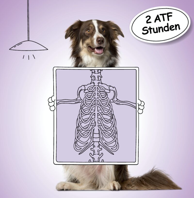 Bildschirmfoto 2022 01 03 um 19 58 06