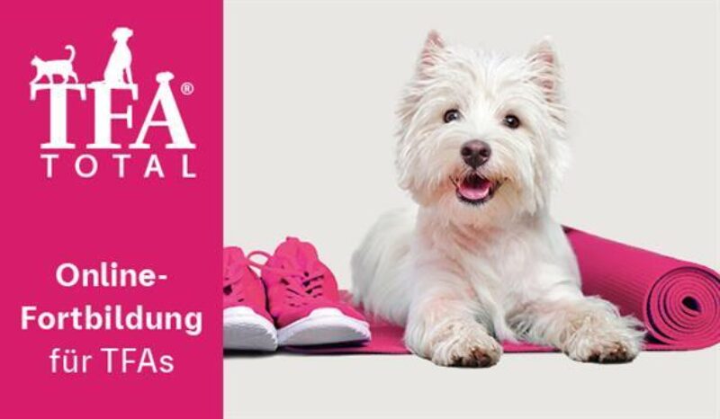 24 0600 tfa total feb 600x350