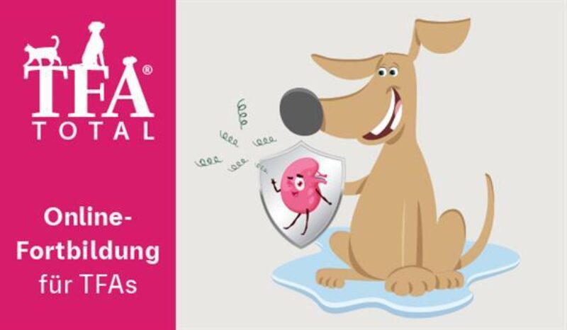 24 0600 tfa total jul 600x350