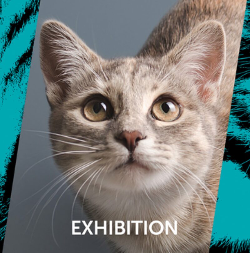 Bildschirmfoto 2022 01 22 um 17 49 52