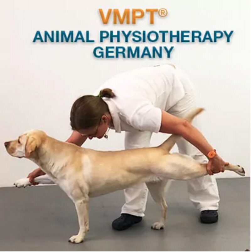 Bildschirmfoto 2022 01 22 um 21 00 30