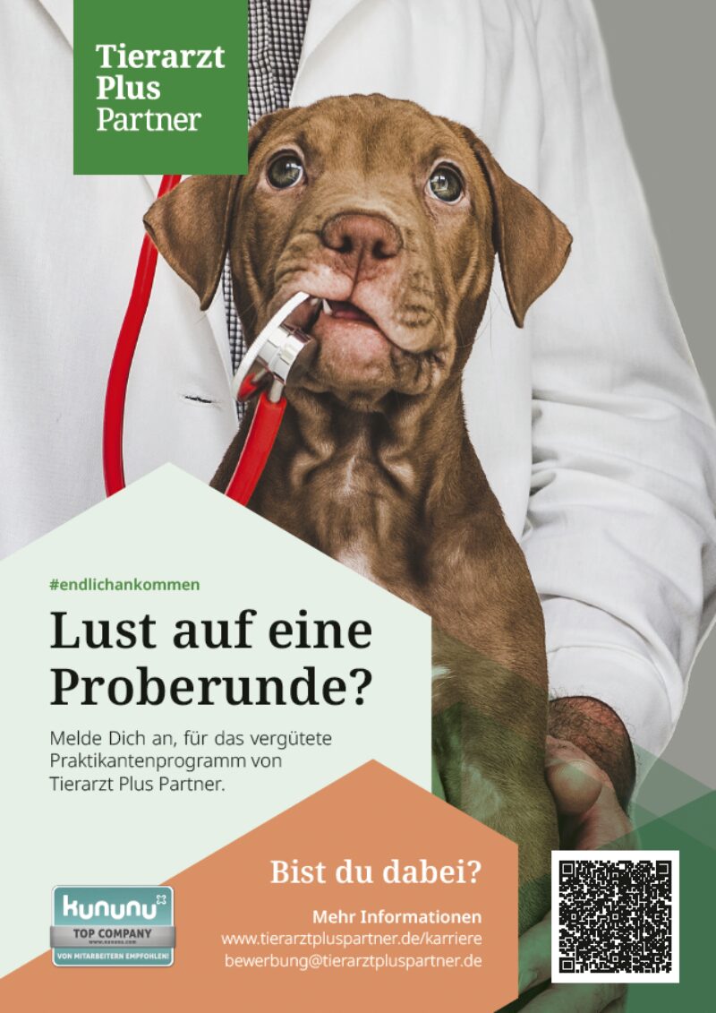 Bildschirmfoto 2022 02 14 um 17 39 07