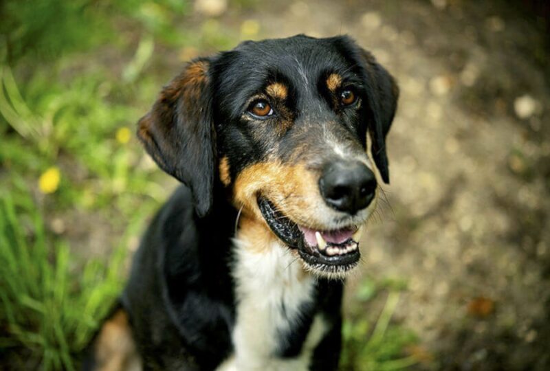 Bildschirmfoto 2022 02 15 um 11 08 53