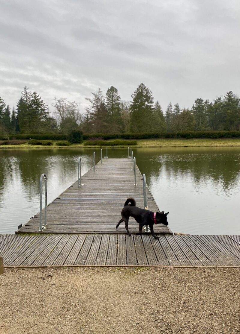 Bildschirmfoto 2022 03 10 um 07 57 20