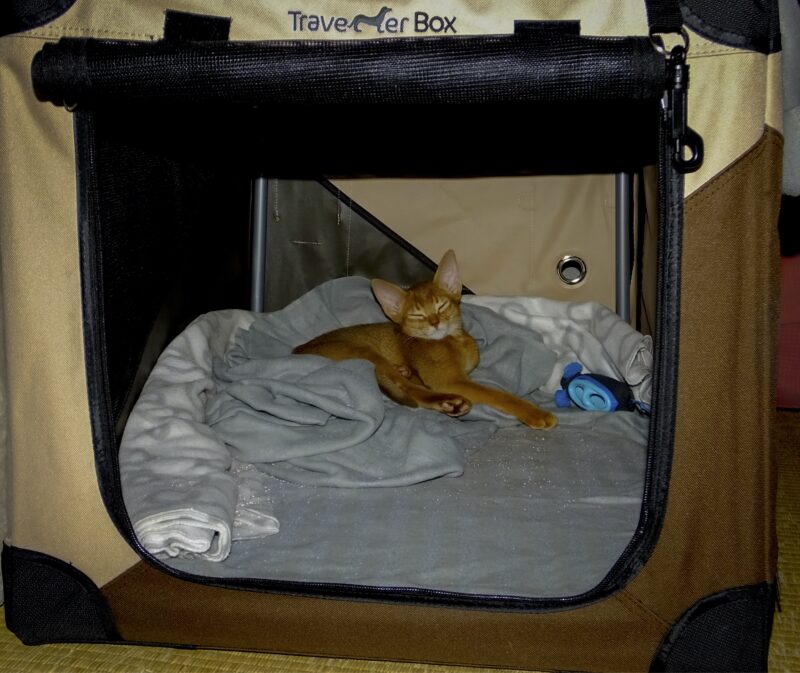 Bildschirmfoto 2022 03 17 um 16 50 45