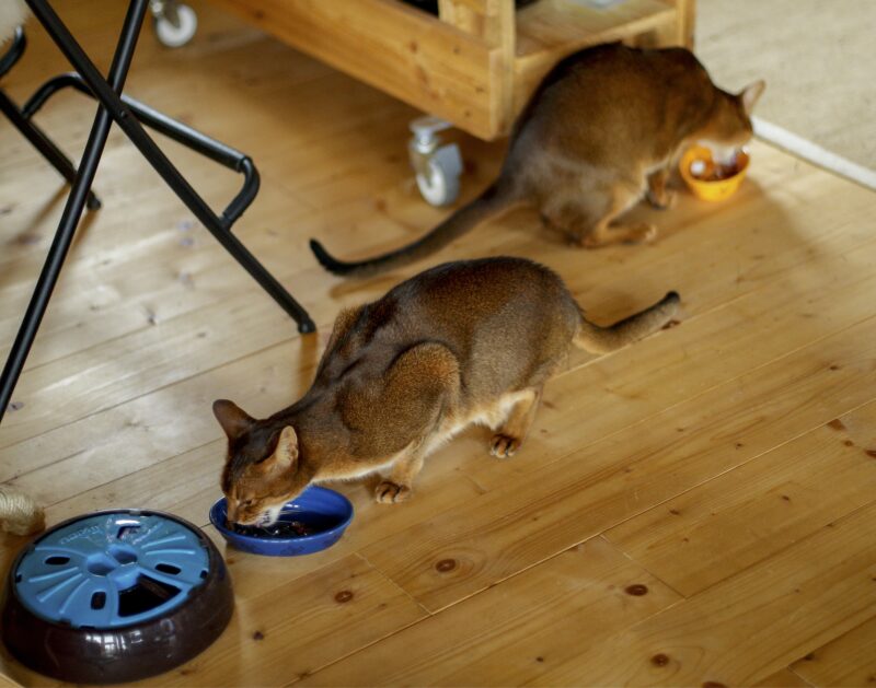 Bildschirmfoto 2022 03 17 um 16 50 31